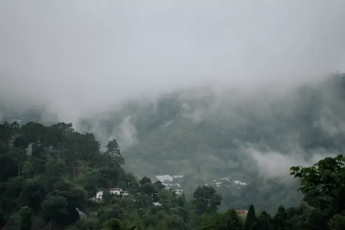 Misty morning valley view